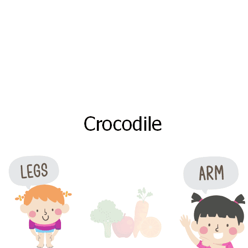 Crocodile