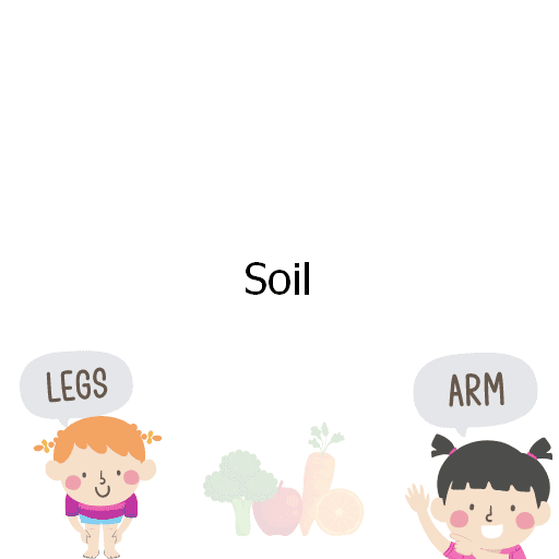 Soil