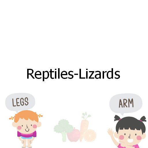 Reptiles-Lizards