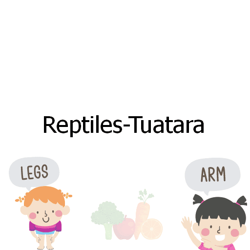 Reptiles-Tuatara