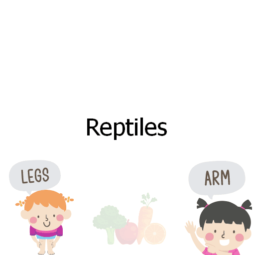 Reptiles