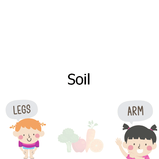 Soil