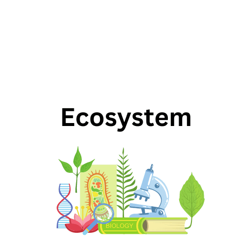 Ecosystem