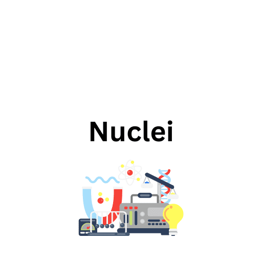 Nuclei