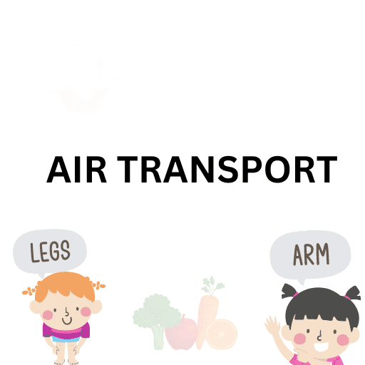 Air-Transport