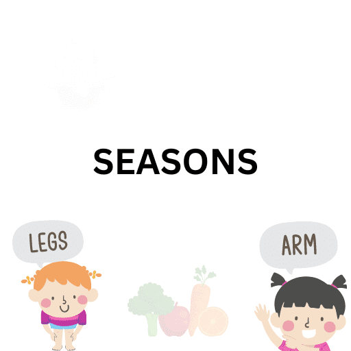 Seasons