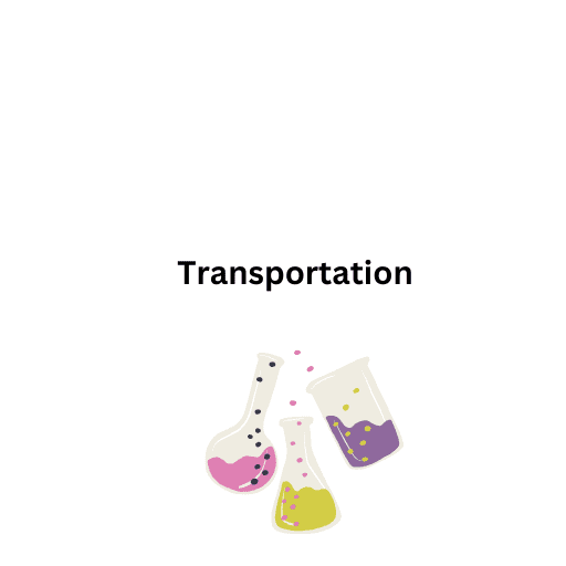 Transportation